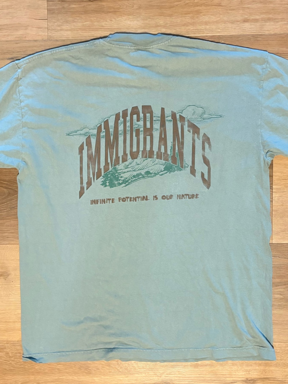 Kids of Immigrants Anything is Possible Graphic T-Shirt Sage Size L Big Logo